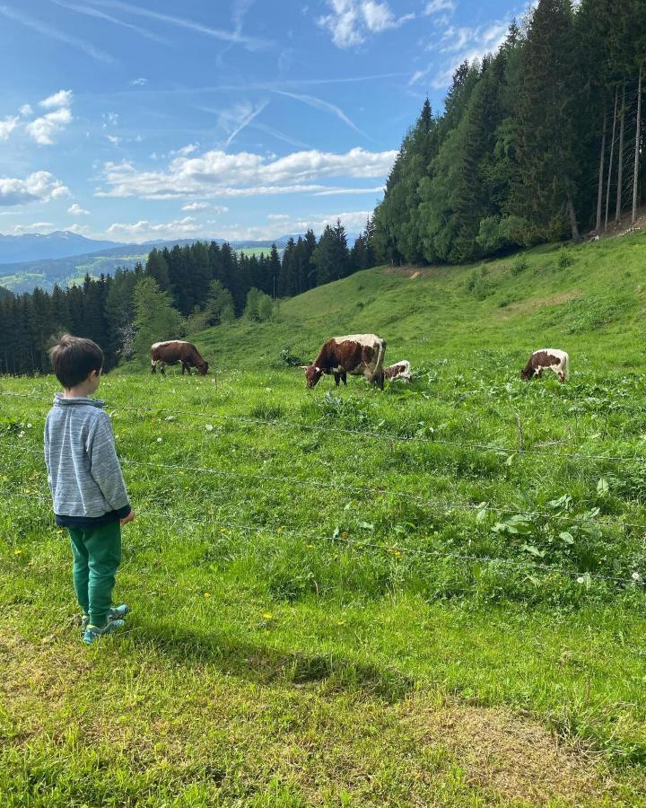 Vakantiehuis Forsthaus Gray 4 Sankt Veit an der Glan