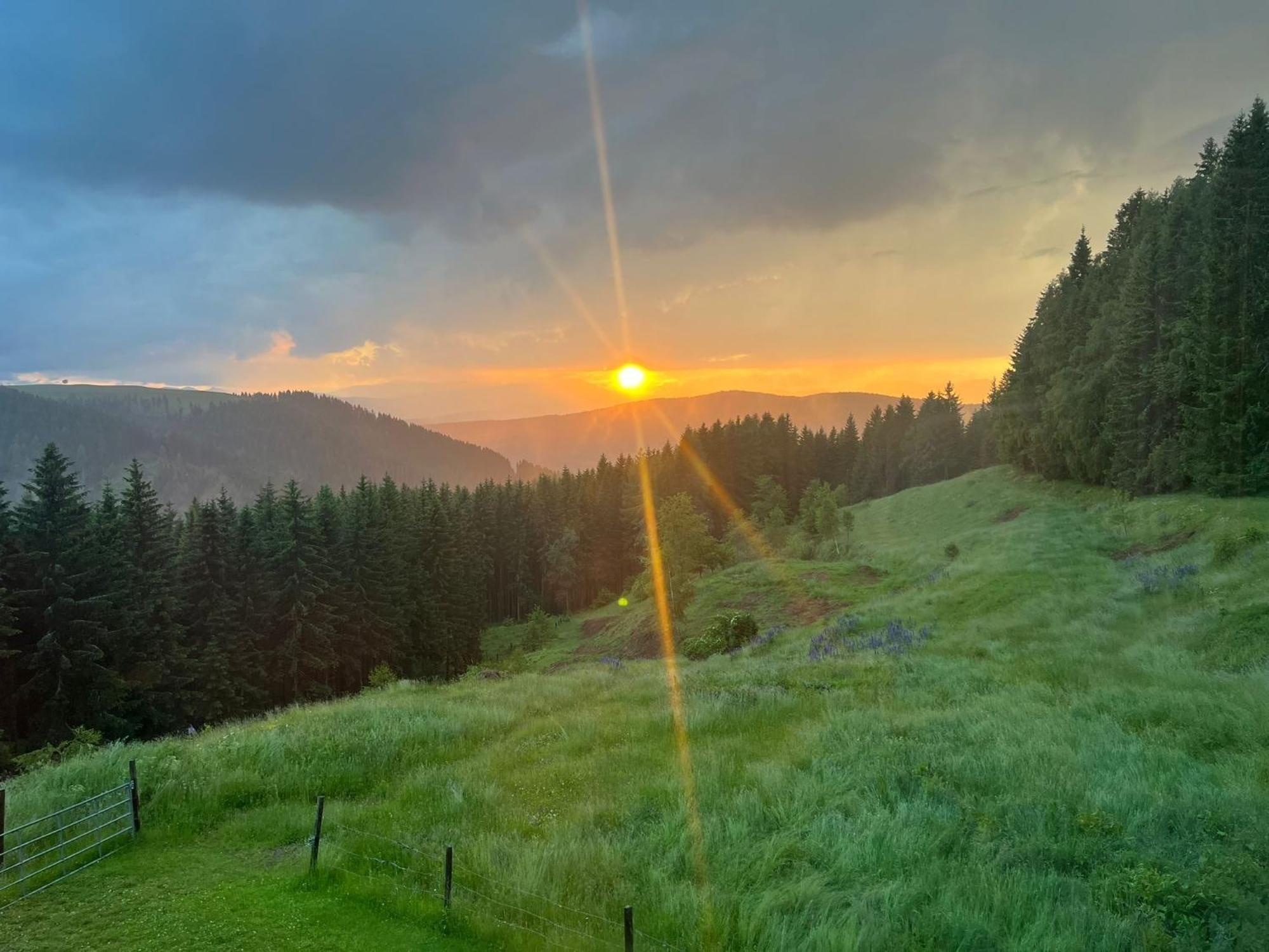 Holiday home Forsthaus Gray 4 *